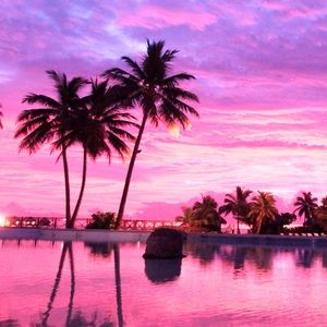 Meet your Posher, Desiree